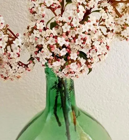 'la Casa De Lola' Casita De Cuento Con Vistas *