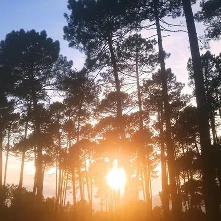 'la Casa De Lola' Casita De Cuento Con Vistas Arenas de San Pedro