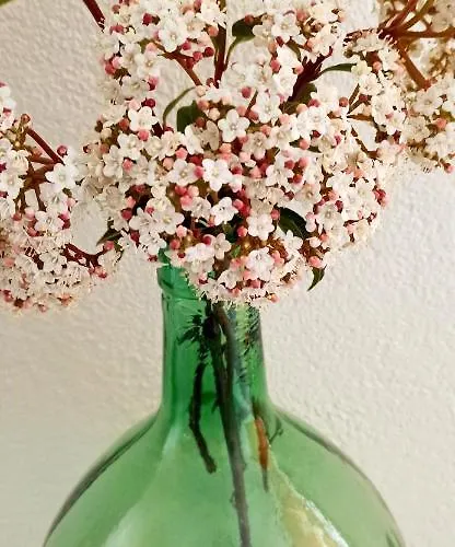 'la Casa De Lola' Casita De Cuento Con Vistas *